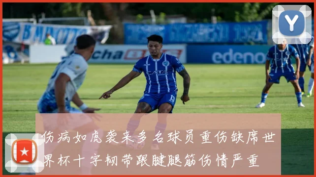 伤病如虎袭来多名球员重伤缺席世界杯十字韧带跟腱腿筋伤情严重
